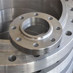 Flanges Manufacturer in India