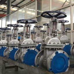 Valves Manufacturer in India